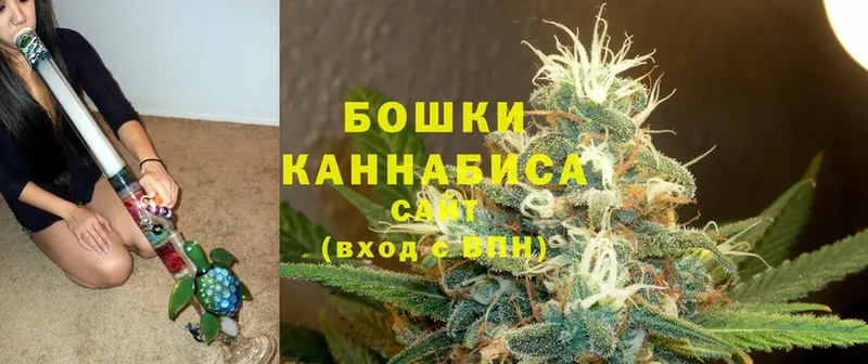 Конопля Amnesia  купить наркоту  ОМГ ОМГ как войти  Иннополис 